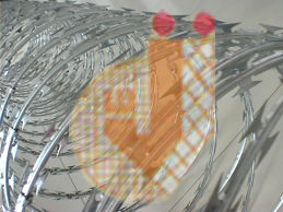 Concertina Wire