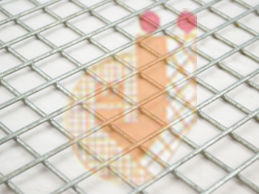 Welded Wire Mesh